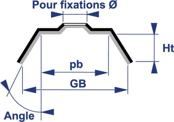 DIMENSION CAVALIER.webp