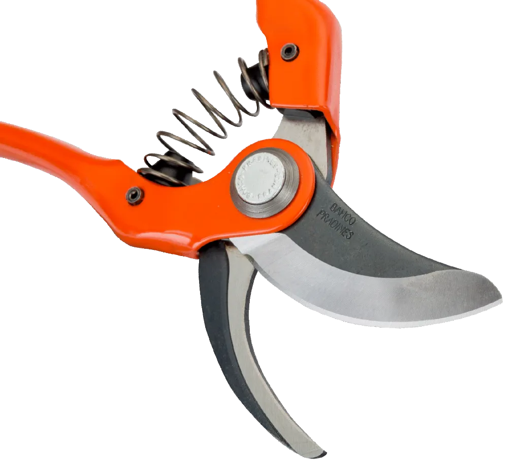 SECATEUR P131 2.webp