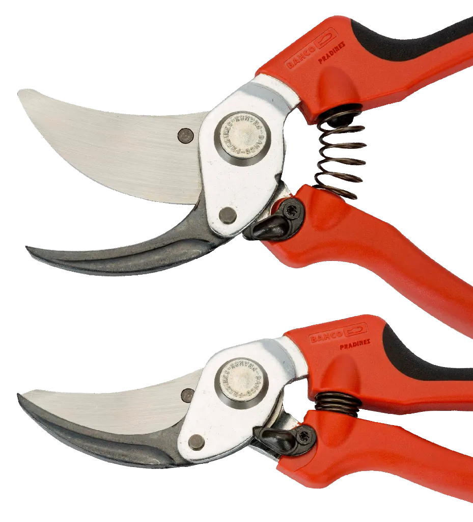 SECATEUR P108-23 2.webp