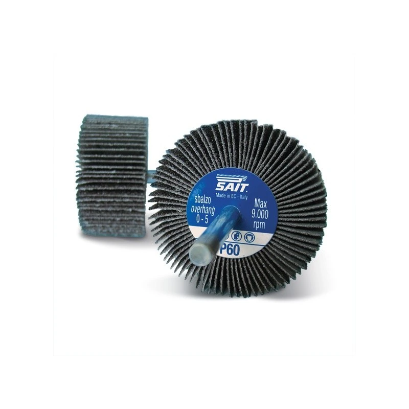 [272074089] ROUE A LAMELLES SUR TIGE SAITOR G-A 60X30 GRAIN 40