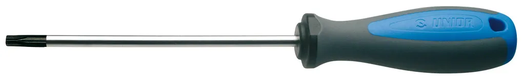 TOURNEVIS TORX 621 TBI T25X100