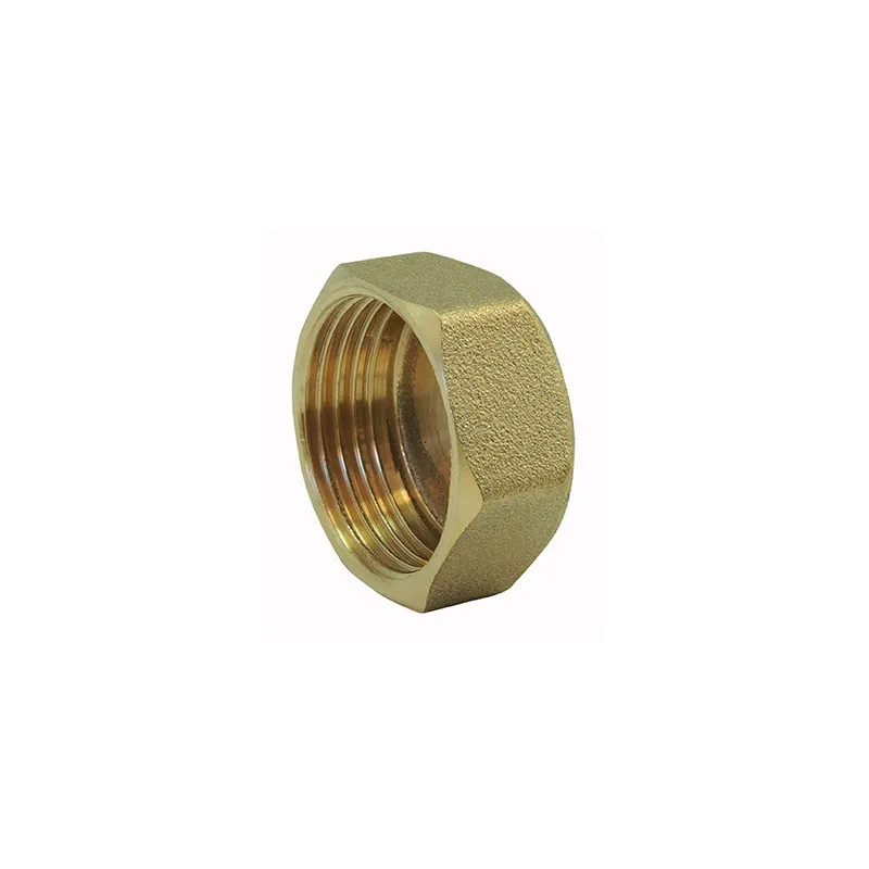BOUCHON LAITON FEMELLE 234 50X60